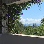 Garden 卡洛福泰