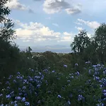 Garden 3* 卡洛福泰
