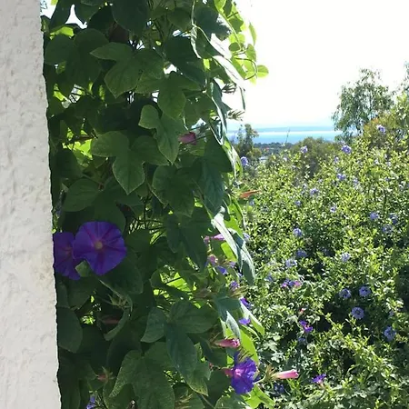 Garden Carloforte (Isola di San Pietro)