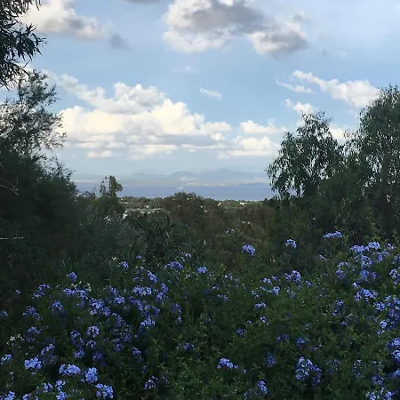 Garden 3* 칼로포테