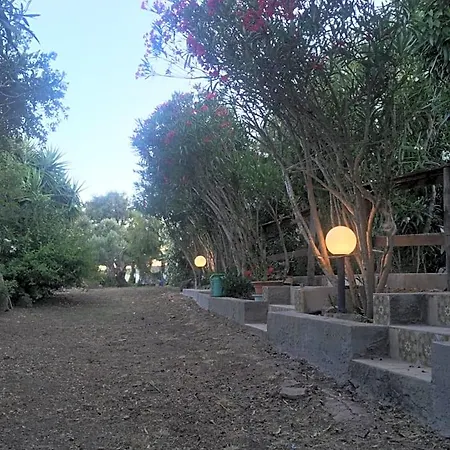 Bed and Breakfast Garden