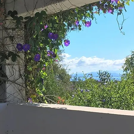 Garden 3* 卡洛福泰