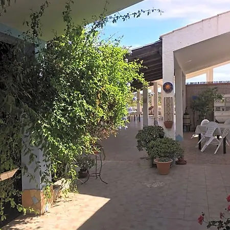 Garden 3*