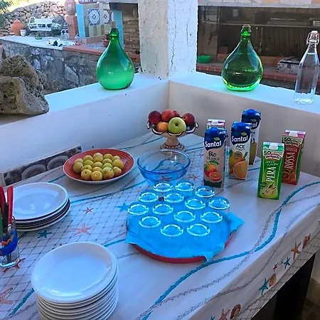 Bed and Breakfast Garden