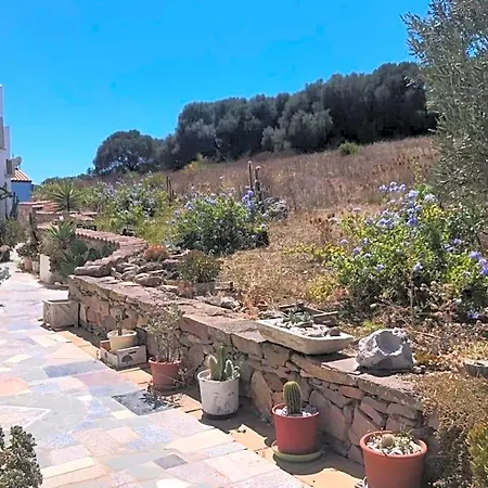 Bed and Breakfast Garden