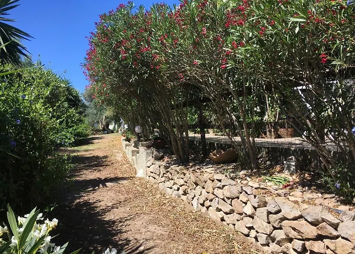 Garden 칼로포테