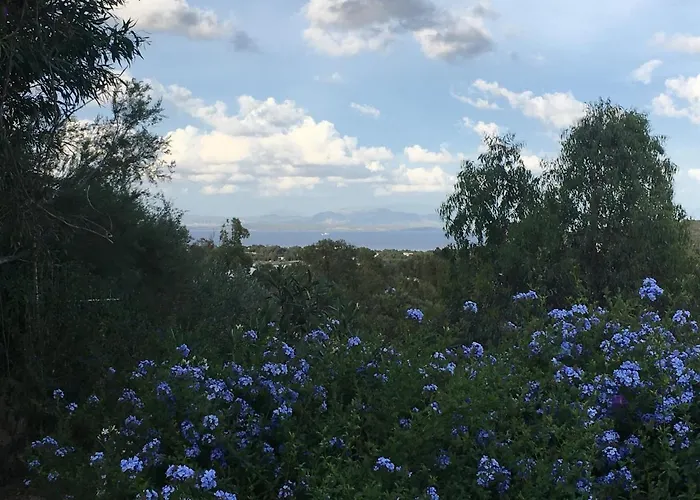 Garden 3* 칼로포테